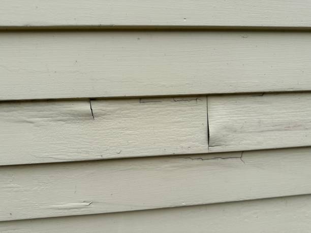 Best Yard Waste Removal  in Clarinda, IA